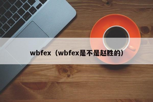 wbfex(wbfex是不是赵胜的)